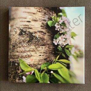 **Original** Photograph 8x8 on Canvas